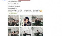 娱乐圈是我的 体育圈是干净的吗,纯净竞技场，远离娱乐圈喧嚣